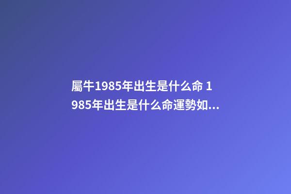 屬牛1985年出生是什么命 1985年出生是什么命運勢如何 1985年出生的人是什么命-第1張-觀點-玄機派